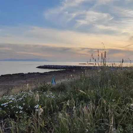 فيلة Il Giardino Sul Mare *